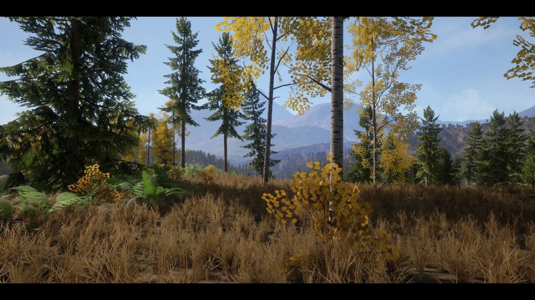 UE素材 虚拟引擎高山森林公路场景3D模型素材 Unreal Engine Realistic Forest Pack , 第2张