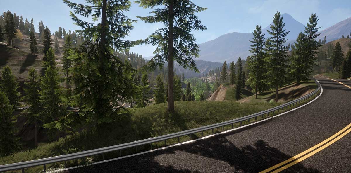 UE素材 虚拟引擎高山森林公路场景3D模型素材 Unreal Engine Realistic Forest Pack , 第1张