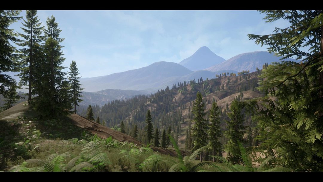 UE素材 虚拟引擎高山森林公路场景3D模型素材 Unreal Engine Realistic Forest Pack , 第5张