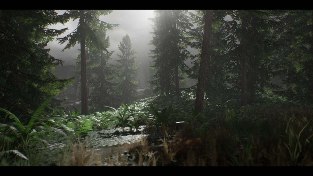 UE素材 虚拟引擎高山森林公路场景3D模型素材 Unreal Engine Realistic Forest Pack , 第4张