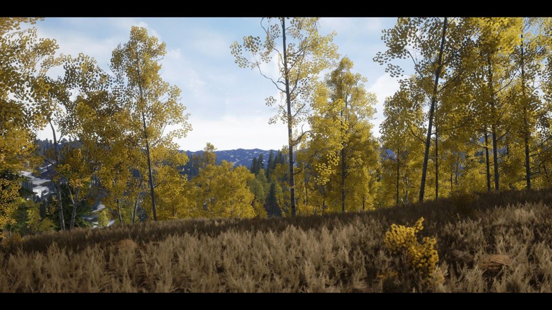 UE素材 虚拟引擎高山森林公路场景3D模型素材 Unreal Engine Realistic Forest Pack , 第7张