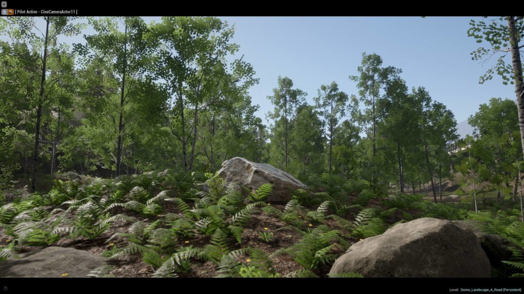 UE素材 虚拟引擎高山森林公路场景3D模型素材 Unreal Engine Realistic Forest Pack , 第8张