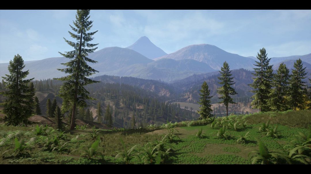 UE素材 虚拟引擎高山森林公路场景3D模型素材 Unreal Engine Realistic Forest Pack , 第9张