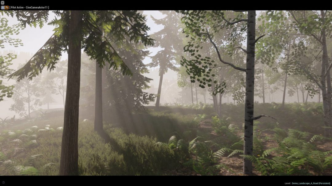 UE素材 虚拟引擎高山森林公路场景3D模型素材 Unreal Engine Realistic Forest Pack , 第10张