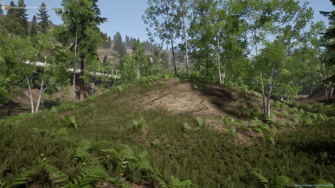 UE素材 虚拟引擎高山森林公路场景3D模型素材 Unreal Engine Realistic Forest Pack , 第11张