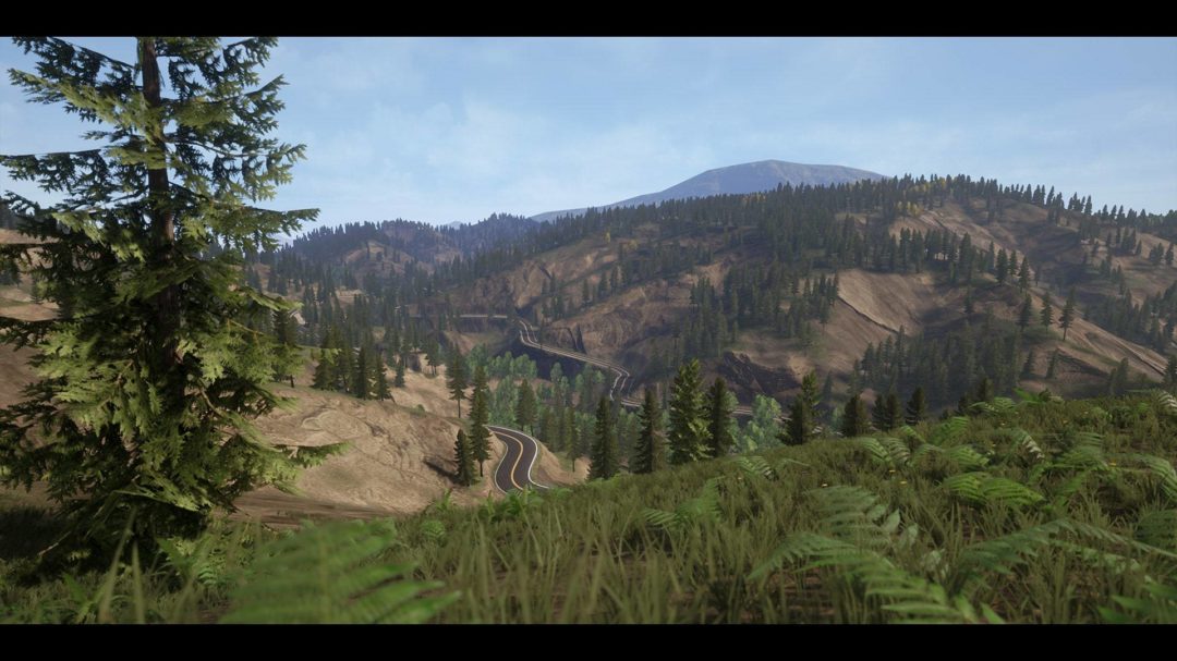 UE素材 虚拟引擎高山森林公路场景3D模型素材 Unreal Engine Realistic Forest Pack , 第12张