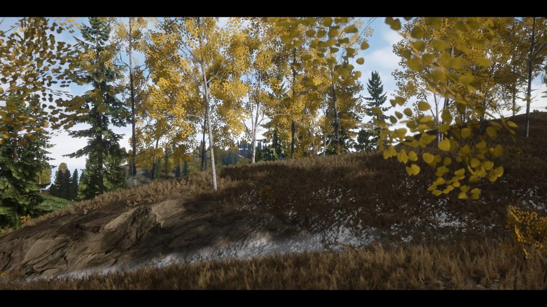 UE素材 虚拟引擎高山森林公路场景3D模型素材 Unreal Engine Realistic Forest Pack , 第13张