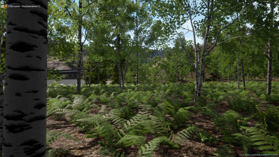 UE素材 虚拟引擎高山森林公路场景3D模型素材 Unreal Engine Realistic Forest Pack , 第14张