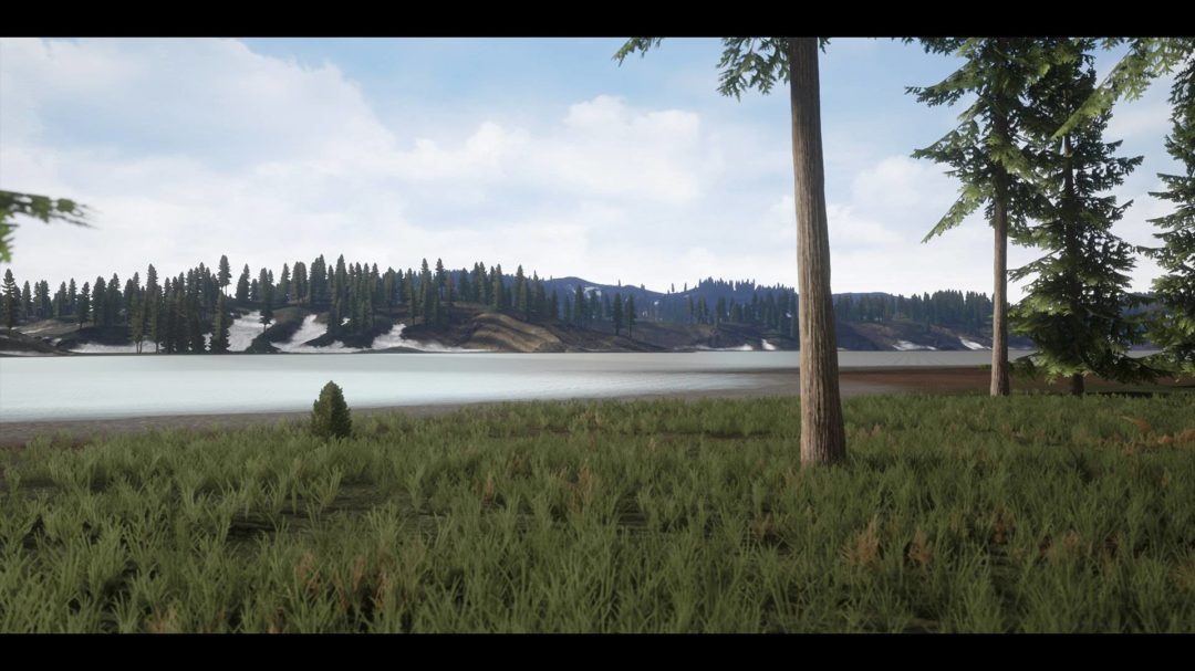 UE素材 虚拟引擎高山森林公路场景3D模型素材 Unreal Engine Realistic Forest Pack , 第15张