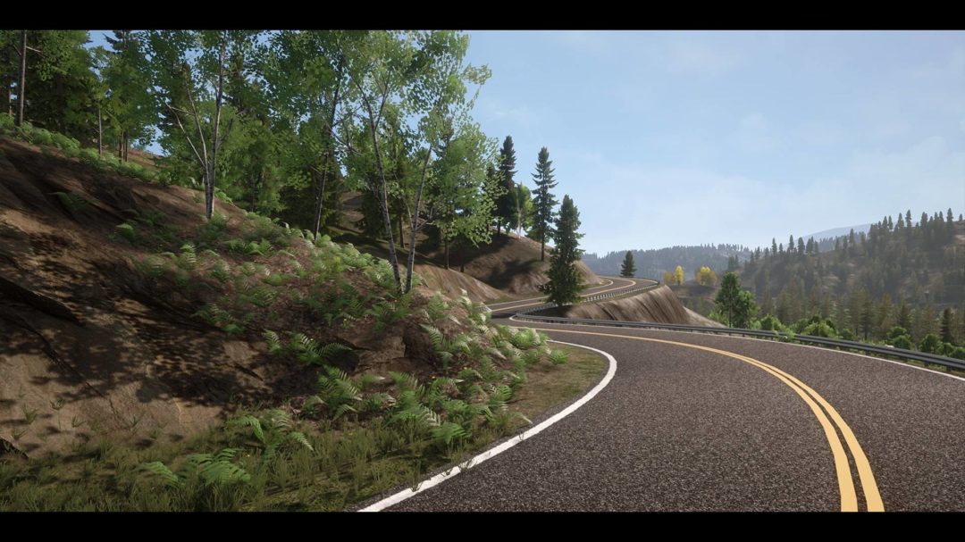 UE素材 虚拟引擎高山森林公路场景3D模型素材 Unreal Engine Realistic Forest Pack , 第20张