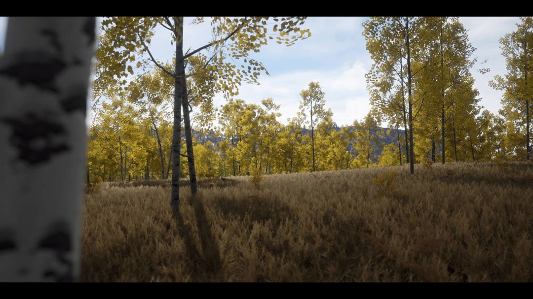 UE素材 虚拟引擎高山森林公路场景3D模型素材 Unreal Engine Realistic Forest Pack , 第19张