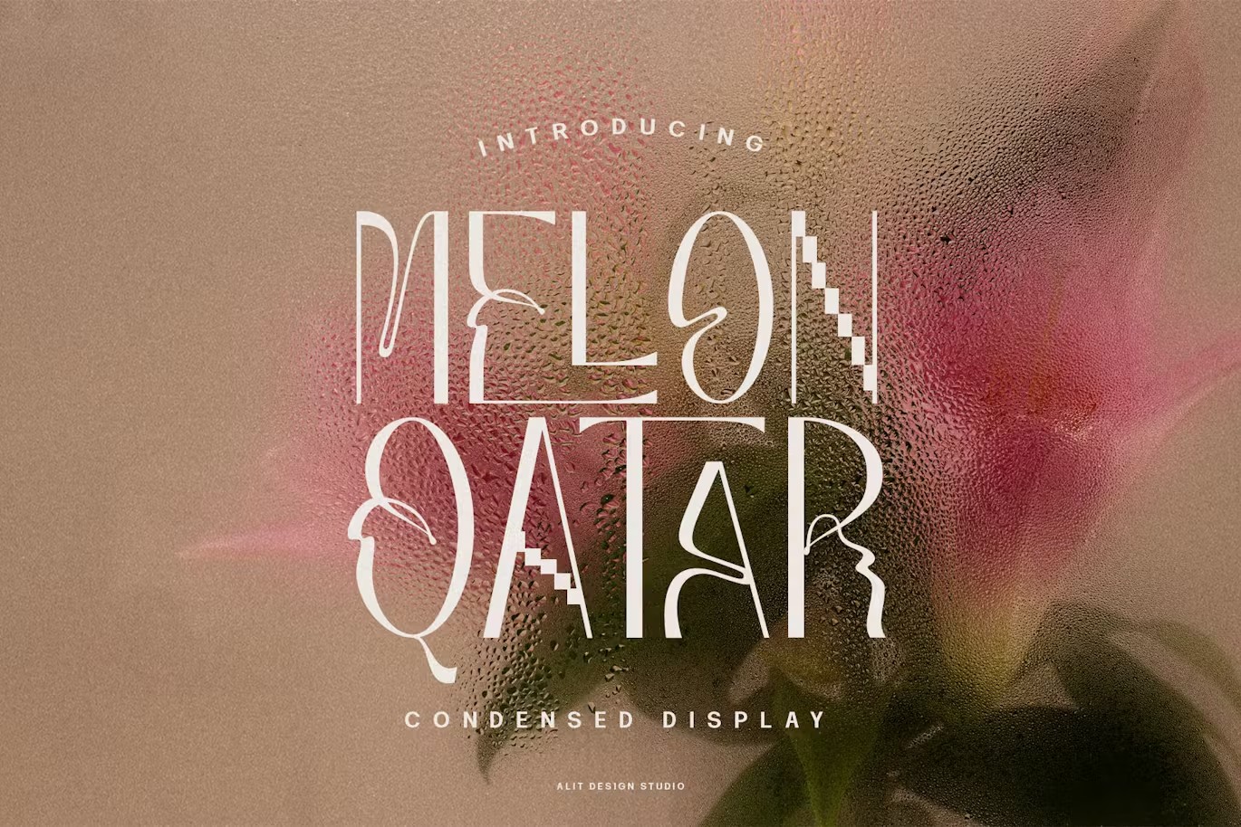 现代复古波西米亚风品牌海报徽标设计无衬线英文字体安装包 Melon Qatar Typeface , 第1张