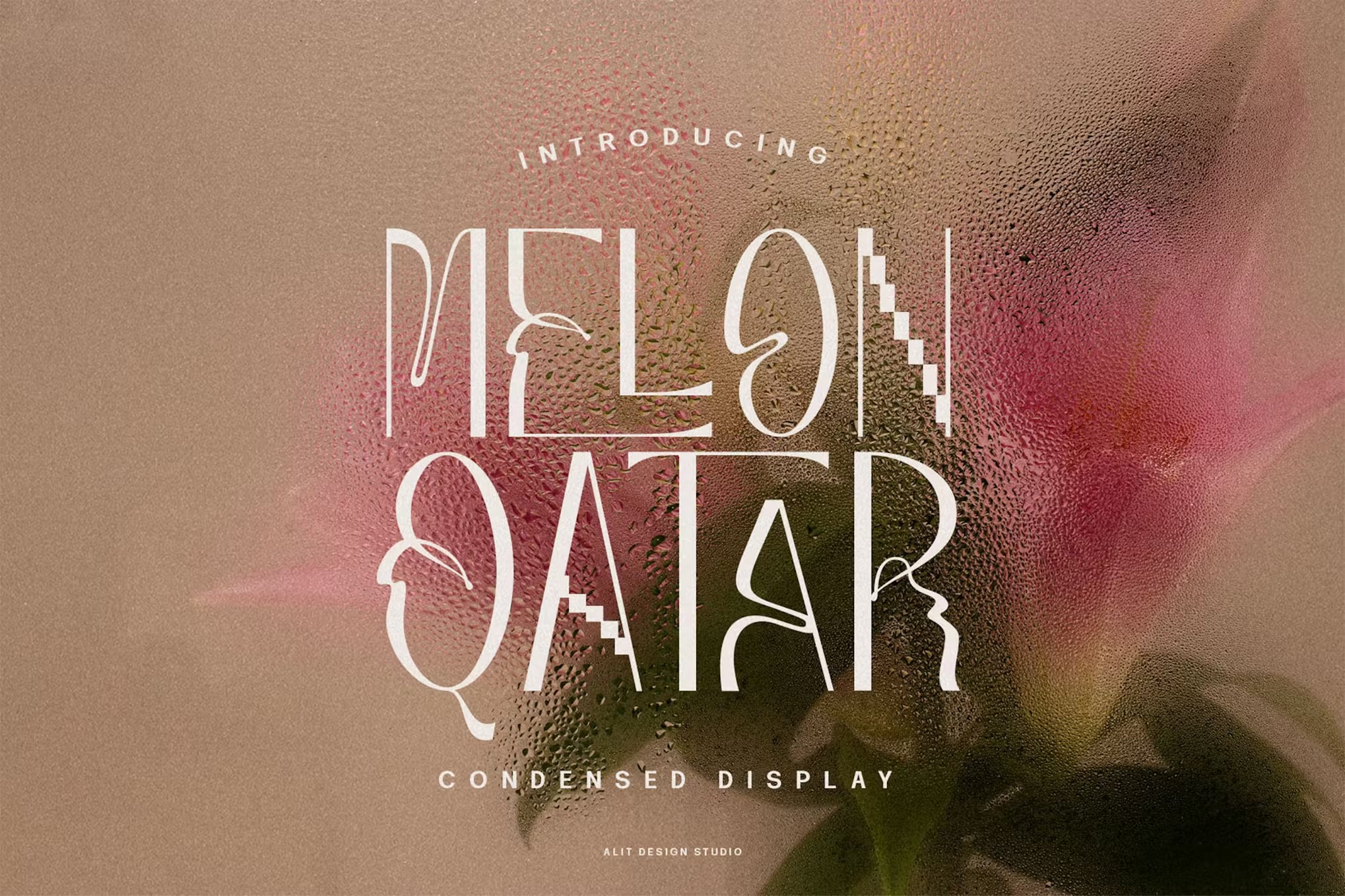 现代复古波西米亚风品牌海报徽标设计无衬线英文字体安装包 Melon Qatar Typeface , 第11张