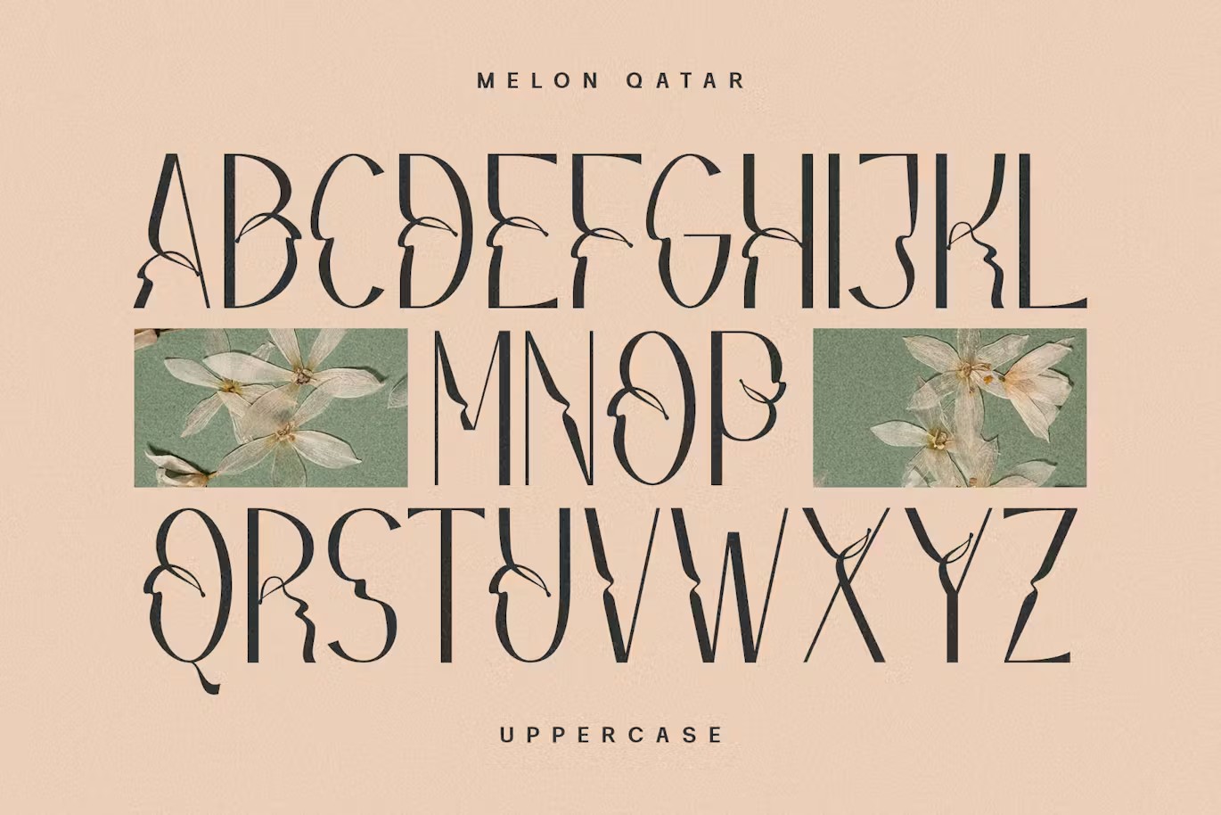 现代复古波西米亚风品牌海报徽标设计无衬线英文字体安装包 Melon Qatar Typeface , 第14张