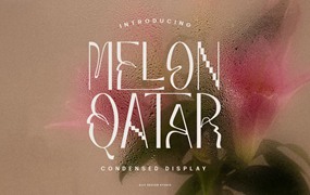 现代复古波西米亚风品牌海报徽标设计无衬线英文字体安装包 Melon Qatar Typeface