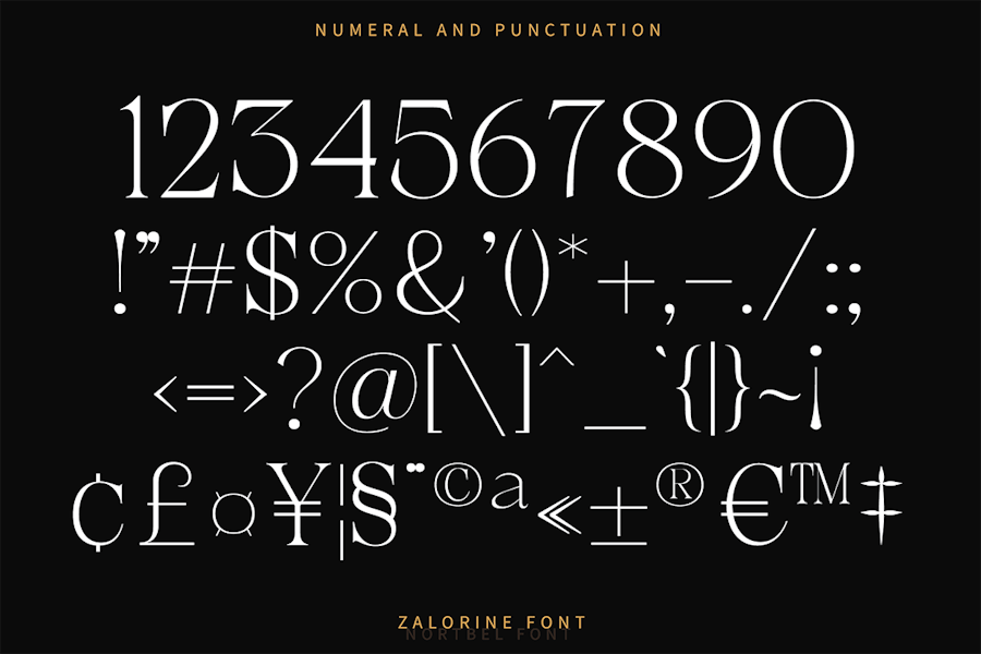 时尚优雅杂志海报徽标设计衬线英文字体安装包 Luxury Font , 第11张