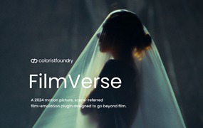 Colorist Foundry – FilmVerse Full Plugin 好莱坞电影美学柯达Vision3系列胶片模拟达芬奇DCTL插件