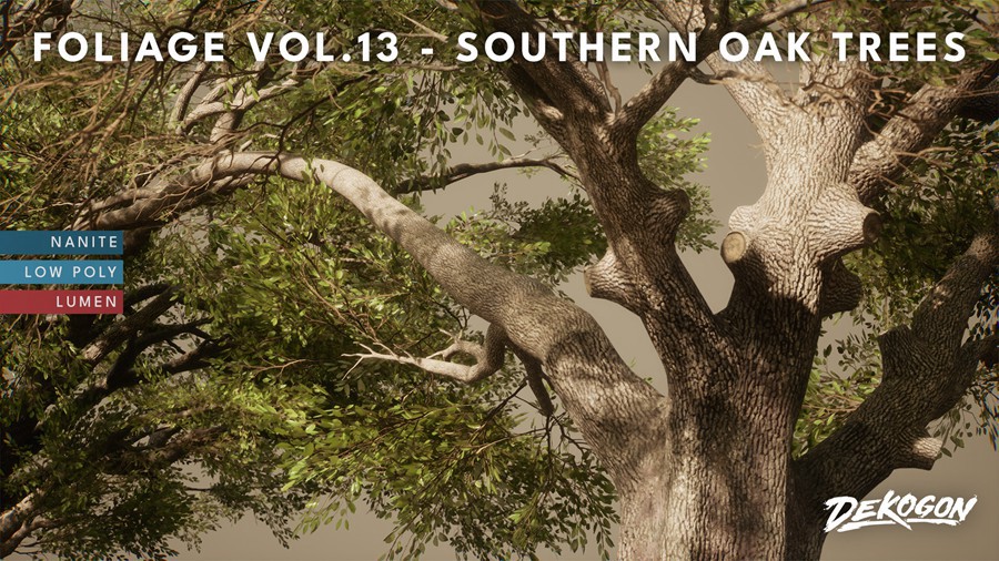 真实丛林树木灌木丛3d模型ue设计素材 Foliage VOL.13 – Southern Oak Trees , 第1张