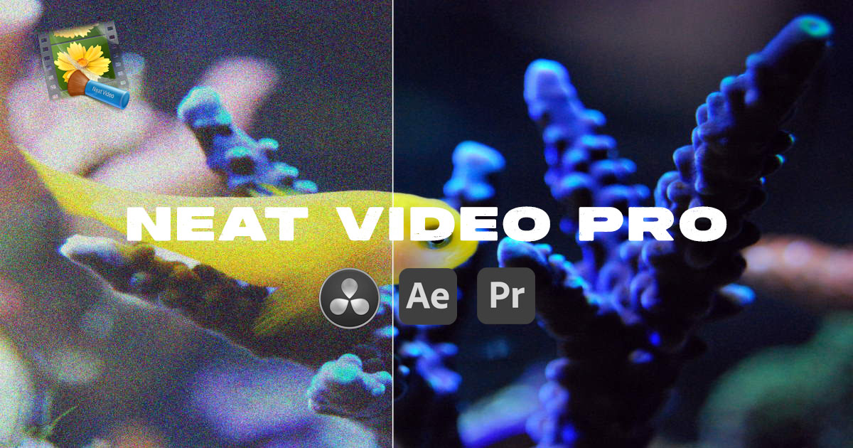 AE/PR/达芬奇插件：专业视频降噪插件Neat Video Pro 5.6.5 for Win , 第1张