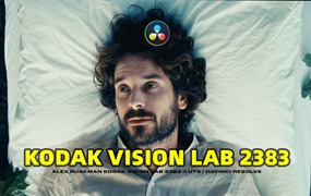 复古怀旧氛围柯达Vision 2383电影美学胶片模拟LUT调色预设 Kodak Vision 2383 LUTs Davinci Resolve