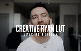 Creative Ryan 油管大神旅拍vlog专业级视频项目低饱和色彩等级LUT调色预设包 creative ryan youtube lut PAID