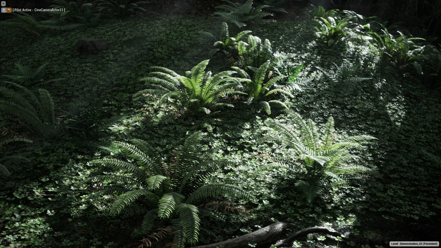 UE素材 虚拟引擎森林草木岩石河流3D模型 Unreal Engine – The Forest v1.5 , 第11张