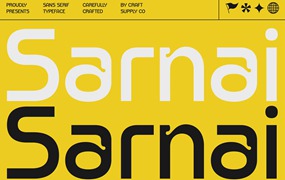 现代优雅品牌网页印刷材料海报设计无衬线英文字体安装包 Sarnai – Sans Serif Font