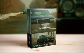 FilterGrade 6个复古电影胶片仿真青绿调调色预设LUT包 Cinematic LUTs Vintage Tones