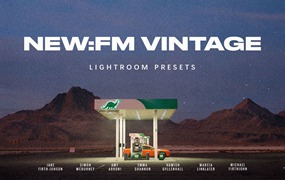 Forrest Mankins 14个复古电影风格情绪色调模拟胶片LR预设 FM Vintage Lightroom Presets