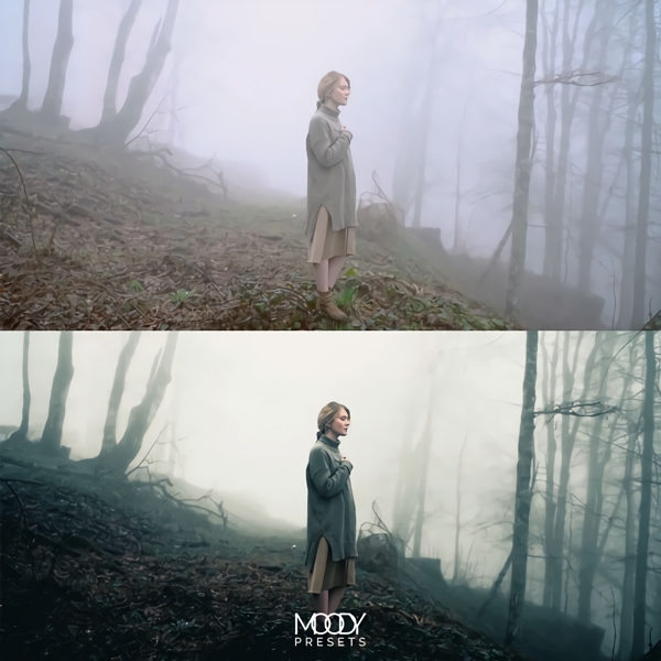 Moody LUTs 111个真实好莱坞电影旅拍vlog仿真颜色分级预设LUTS Cinematic LUTs by Moody Presets . 第14张