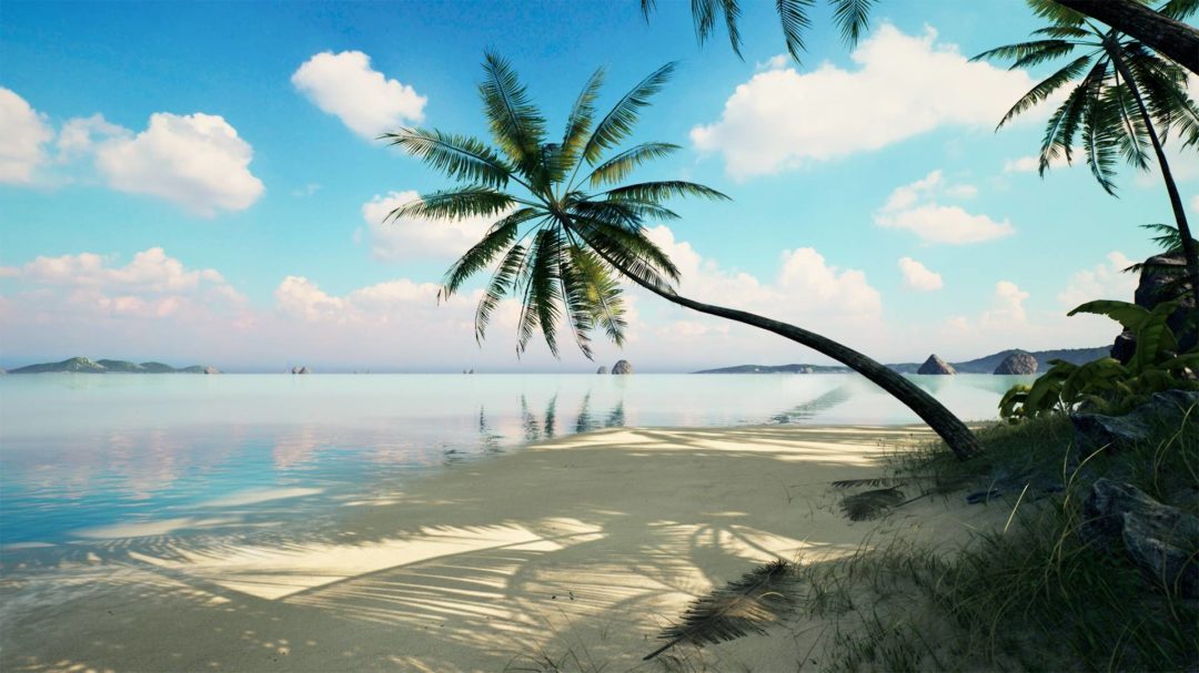 海边沙滩棕榈树海岸岩石UE模型设计素材 Unreal Engine – Brushify – Tropical Pack , 第1张