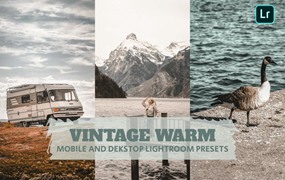 复古温暖生活旅行博主摄影照片调色Lightroom预设 Vintage Warm Lightroom Presets Dekstop and Mobile