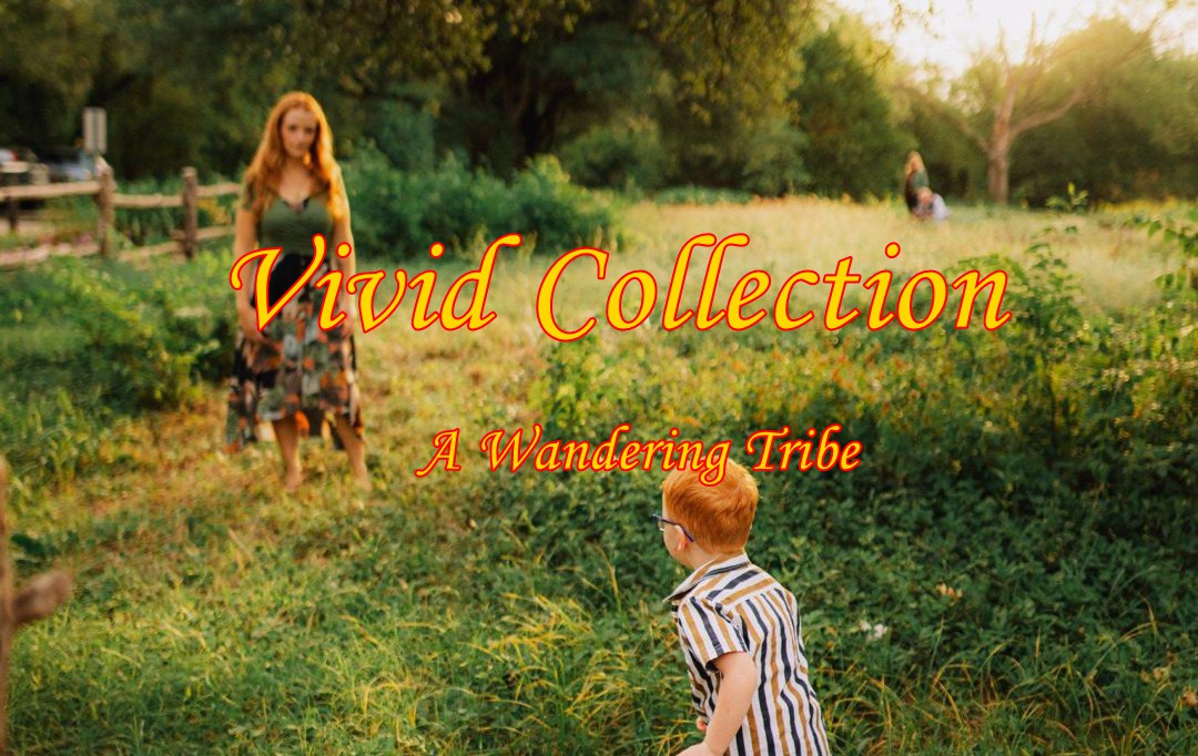 华丽棕色颗粒锐化效果家庭摄影照片调色Lightroom预设包 A Wandering Tribe: Vivid Collection , 第1张