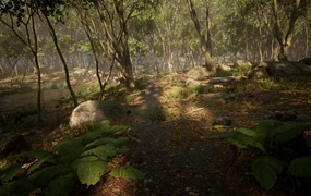 UE素材 虚拟引擎森林树木山地岩石3D模型 Unreal Engine – Leaf Tree Forest Biome