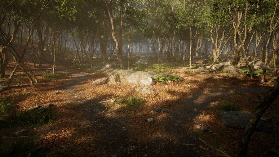 UE素材 虚拟引擎森林树木山地岩石3D模型 Unreal Engine – Leaf Tree Forest Biome , 第6张