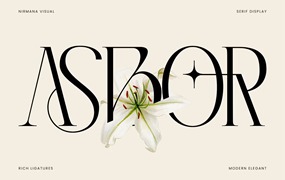 优雅复古美学品牌杂志海报徽标设计衬线英文字体安装包 Asbor – Logo Font