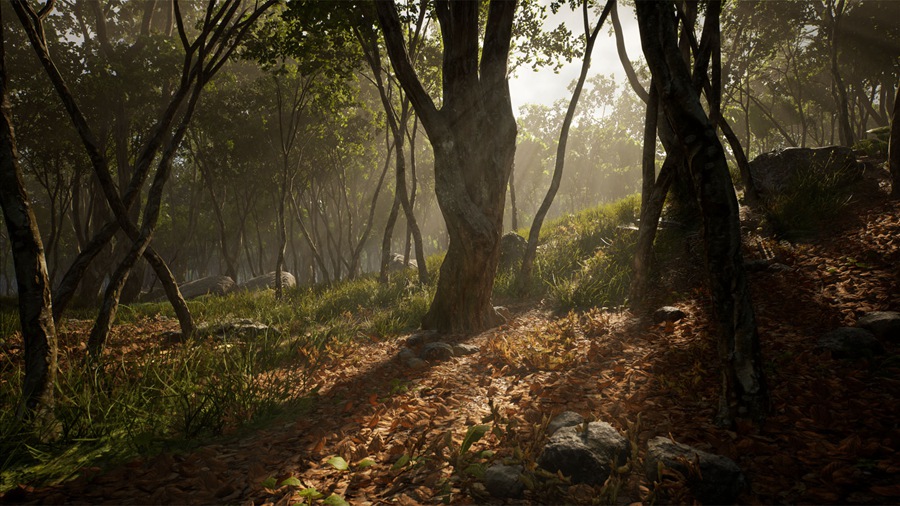 UE素材 虚拟引擎森林树木山地岩石3D模型 Unreal Engine – Leaf Tree Forest Biome , 第10张