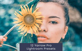 12组复古怀旧皮肤润饰电影婚礼摄影照片调色Lightroom预设包 12 Yarrow Pro Lightroom Presets