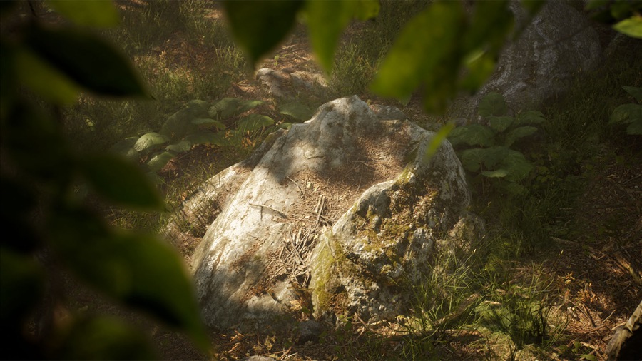 UE素材 虚拟引擎森林树木山地岩石3D模型 Unreal Engine – Leaf Tree Forest Biome , 第11张