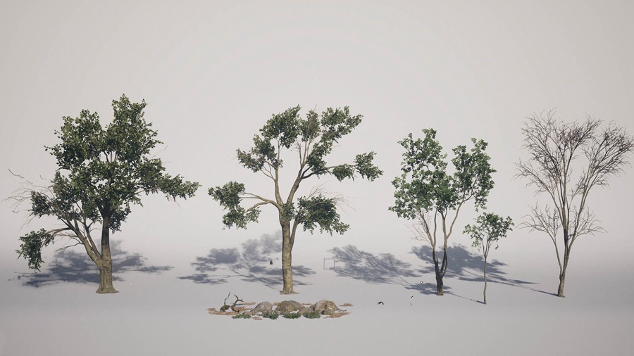 UE素材 虚拟引擎森林树木山地岩石3D模型 Unreal Engine – Leaf Tree Forest Biome , 第25张