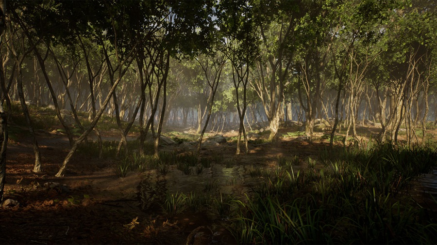 UE素材 虚拟引擎森林树木山地岩石3D模型 Unreal Engine – Leaf Tree Forest Biome , 第2张