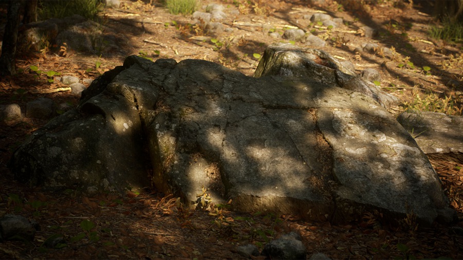 UE素材 虚拟引擎森林树木山地岩石3D模型 Unreal Engine – Leaf Tree Forest Biome , 第16张