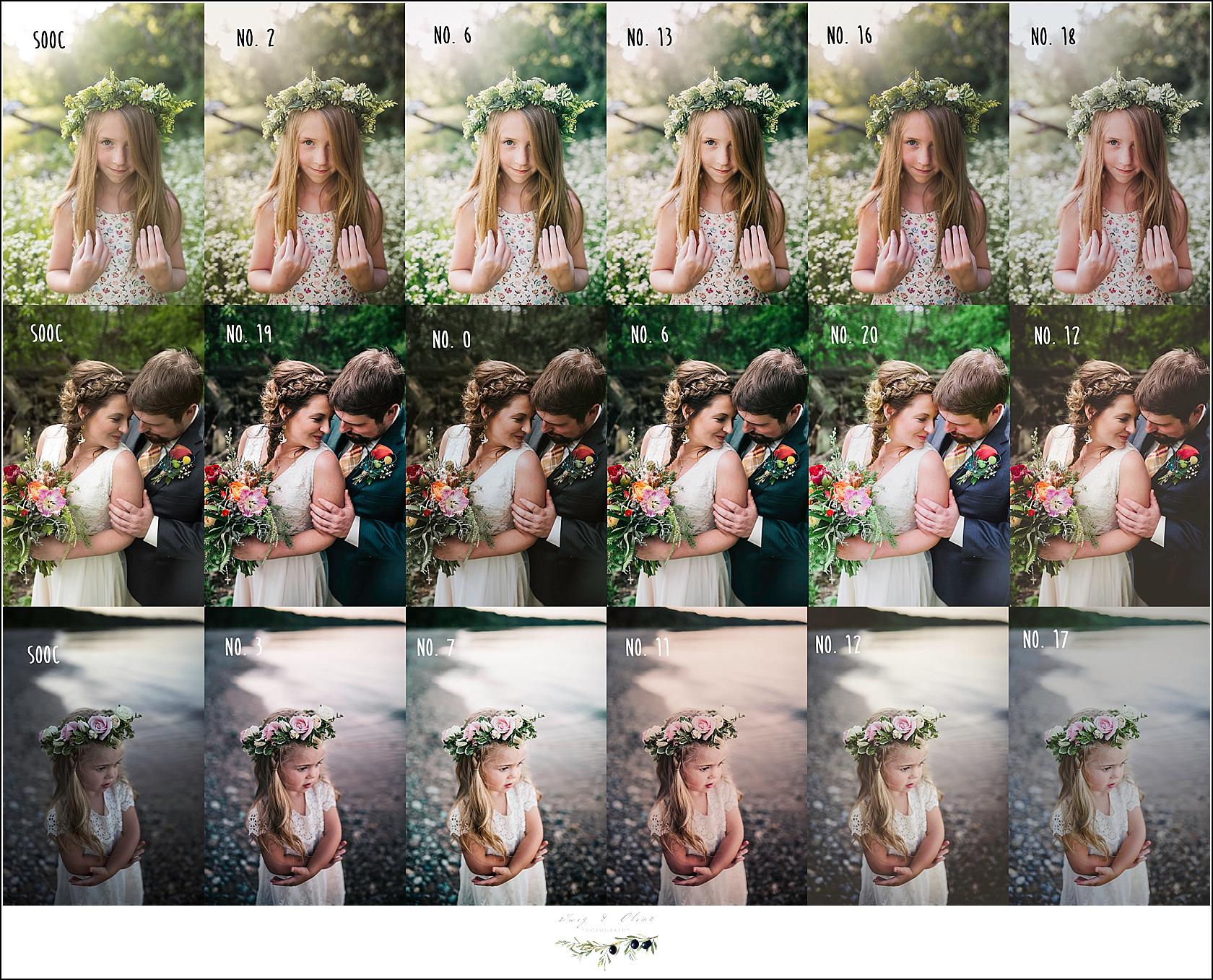 29组蓝绿色户外婚礼家庭摄影照片调色Lightroom预设 Twig & Olive Photography – LR Warm Film Presets , 第4张