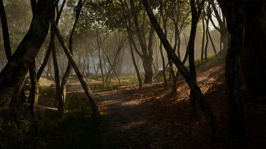 UE素材 虚拟引擎森林树木山地岩石3D模型 Unreal Engine – Leaf Tree Forest Biome , 第3张