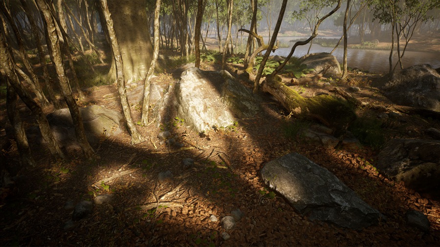 UE素材 虚拟引擎森林树木山地岩石3D模型 Unreal Engine – Leaf Tree Forest Biome , 第14张