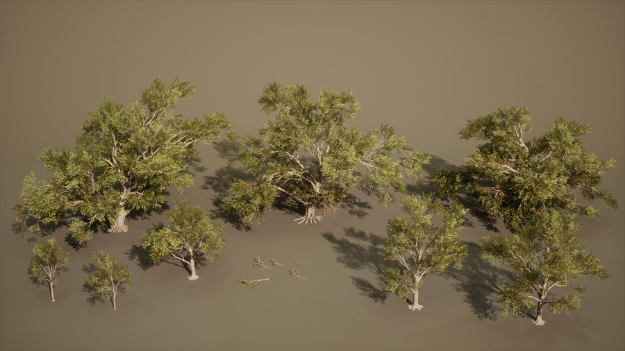 真实丛林树木灌木丛3d模型ue设计素材 Foliage VOL.13 – Southern Oak Trees , 第2张