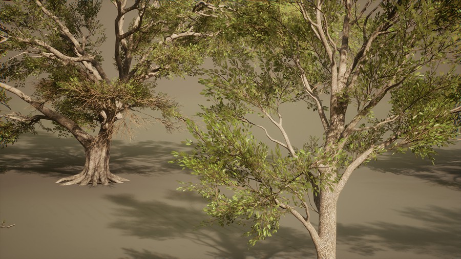 真实丛林树木灌木丛3d模型ue设计素材 Foliage VOL.13 – Southern Oak Trees , 第7张