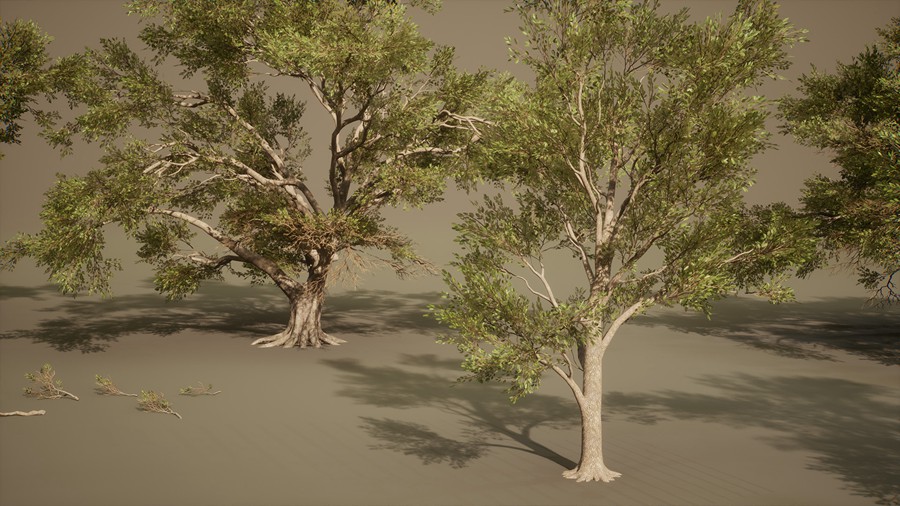 真实丛林树木灌木丛3d模型ue设计素材 Foliage VOL.13 – Southern Oak Trees , 第11张