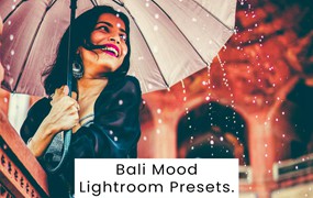 复古怀旧赛博朋克皮肤润饰婚礼摄影照片调色lightroom预设 Bali Mood Lightroom Presets