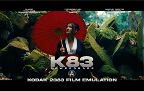 K83 Cinematic PowerGrade 经典好莱坞电影级柯达Kodak 2383胶片模拟薄膜颗粒纹理达芬奇调色节点 K83 Cinematic PowerGrade | Kodak 2383 Film Emulation